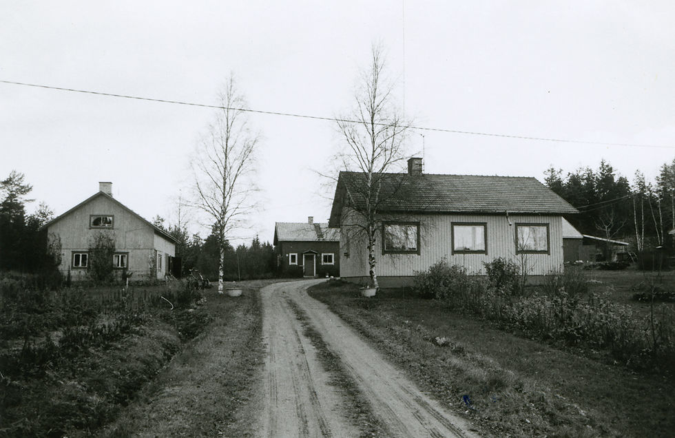 LM_7_156