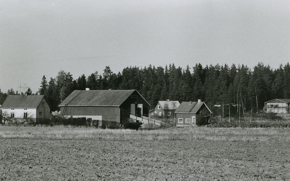 LM_7_183