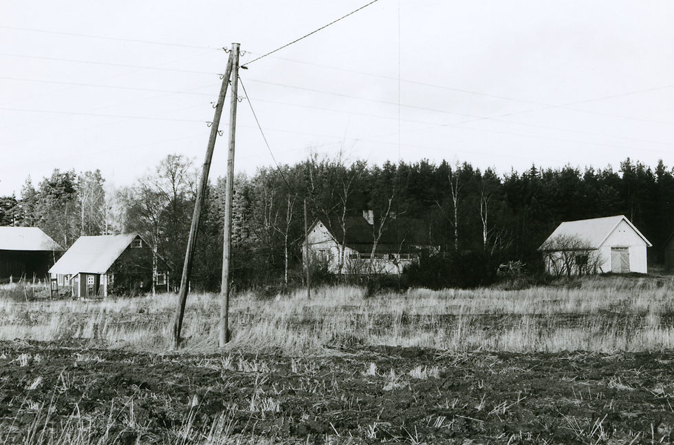 LM_7_196