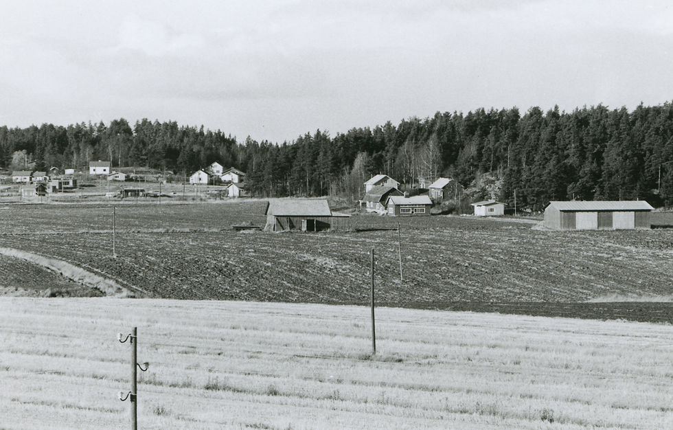 LM_7_161