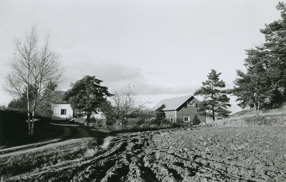LM_7_169