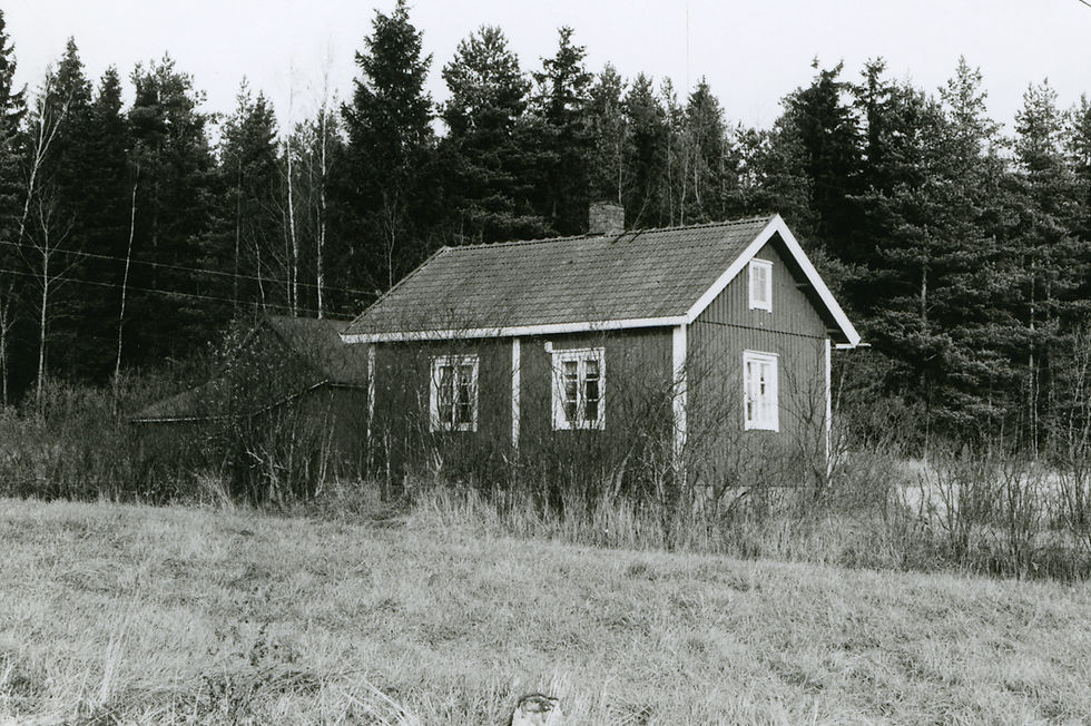 LM_7_194