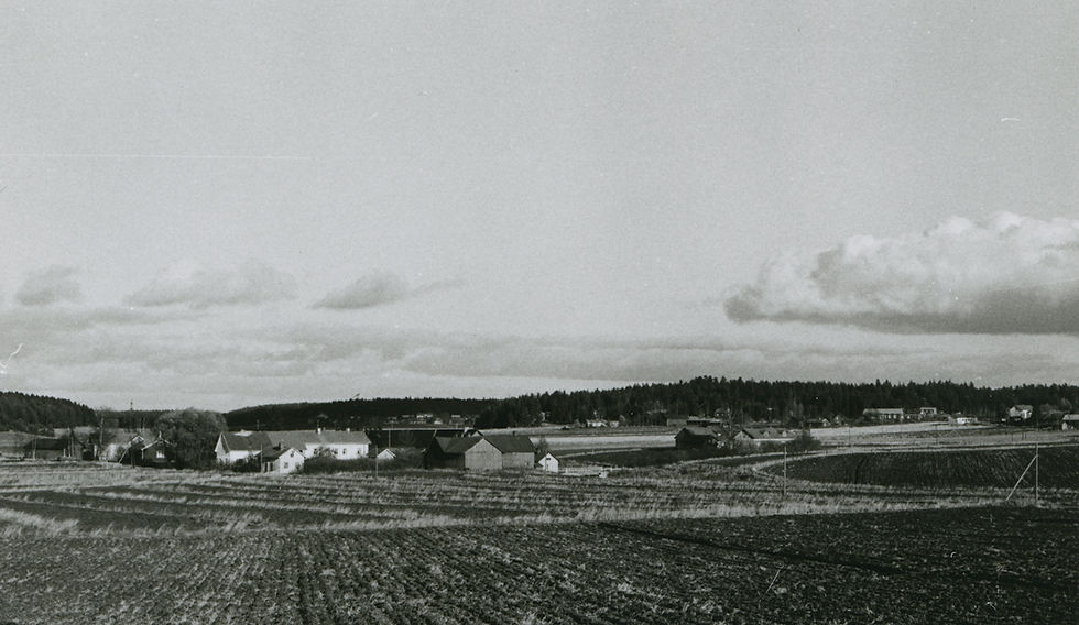 LM_7_167