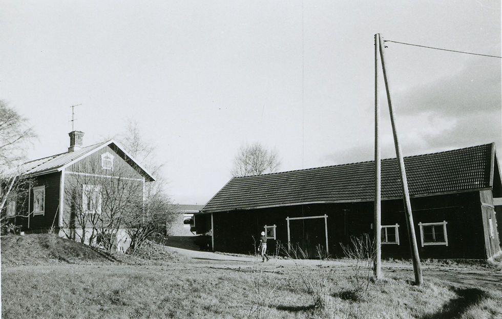 LM_7_168