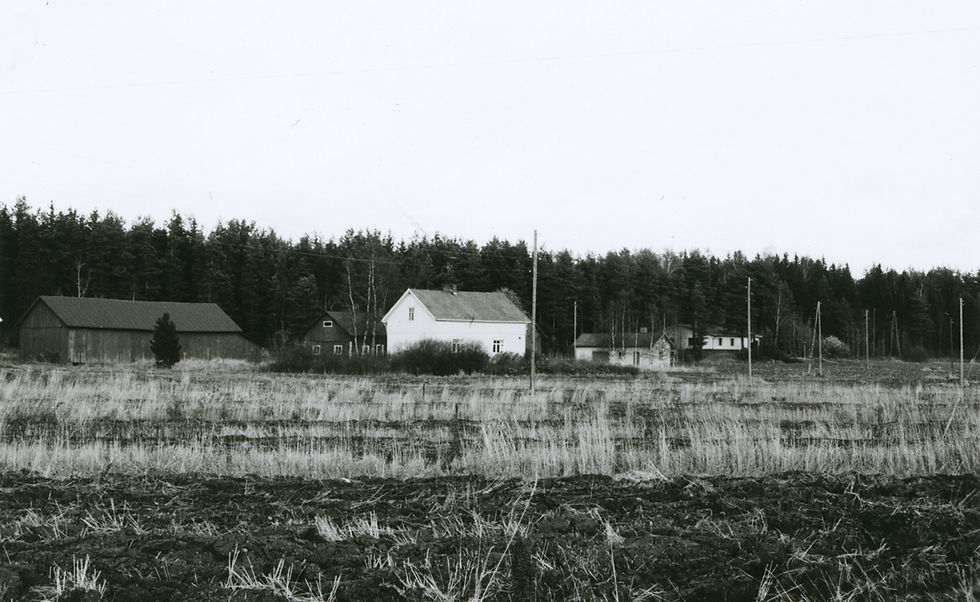 LM_7_195