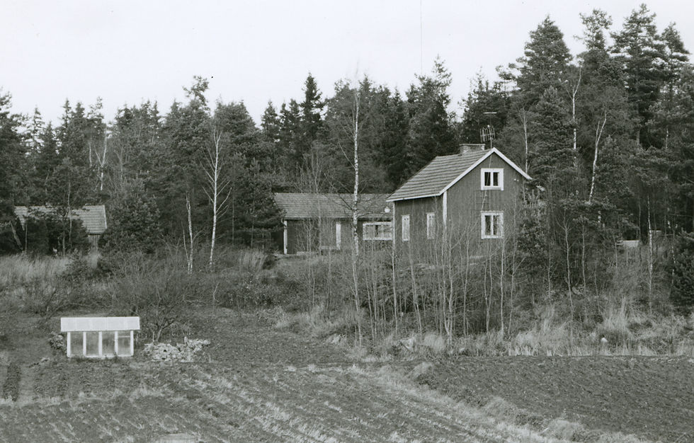 LM_7_164