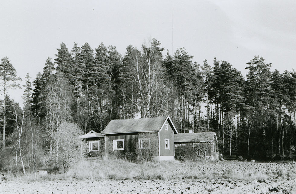 LM_7_176