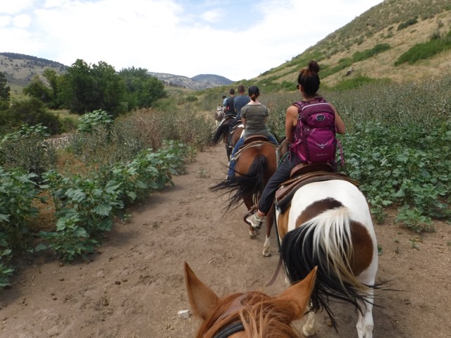 a guide horseback riding group riding horses in Denver Colorado on White Ranch Open Space