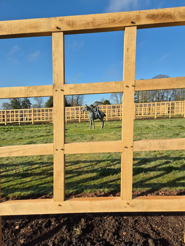 Wooden trellis frame with view of bronze horse statue in landscaped garden
