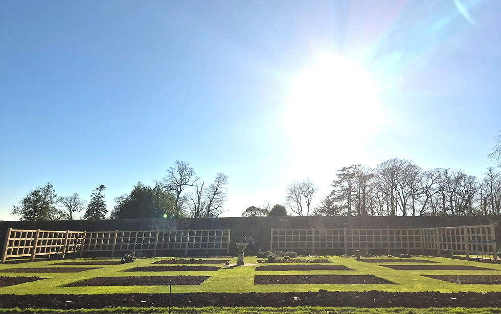 bespoke-timber-trellis-walled-garden_edi