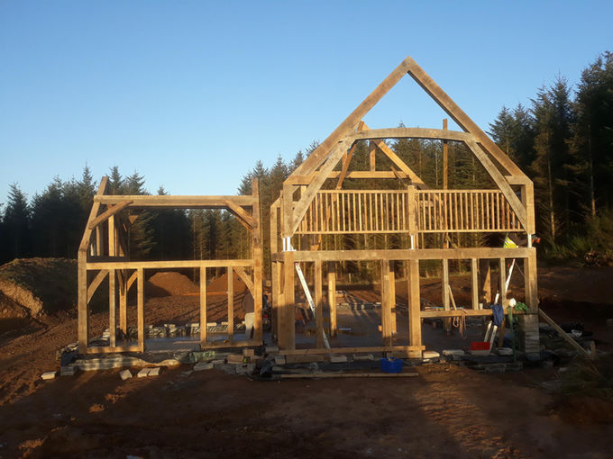 Oak timber frame house under construction in woodland, bespoke carpentry in Aberdeenshire, Scotland.