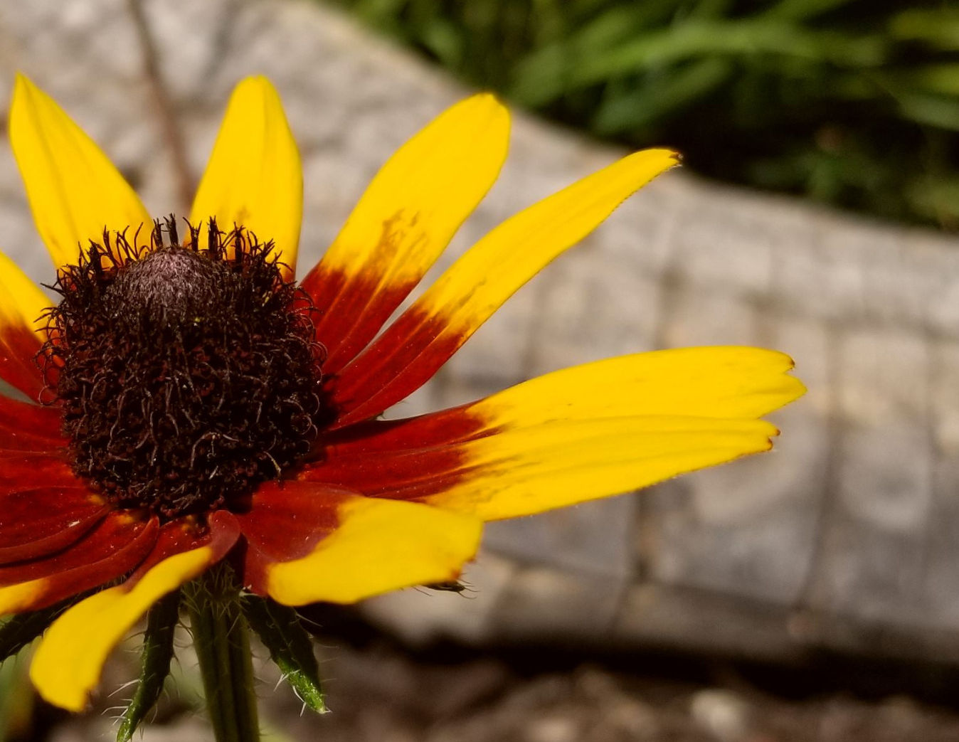 20180724_151625_edited.jpg