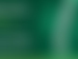 I Simpósio de Escoliose AACD