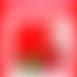 December 14th 2025 Newsletter