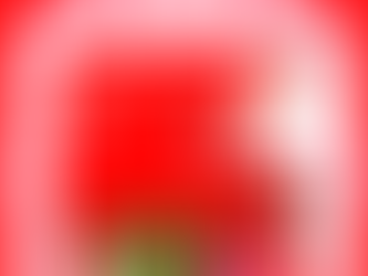 December 14th 2025 Newsletter