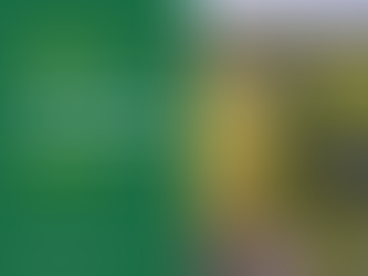 Спори щодо розмежування земельних ділянок, основні причини конфліктів, порядок вирішення та юридичні інструменти захисту прав власників