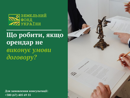 Що робити, якщо орендар не виконує умови договору оренди землі: як діяти власнику, які докази зібрати та куди звертатись для захисту прав