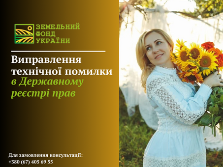 Виправлення технічної помилки у Державному реєстрі прав на нерухомість. Пояснення процедури та документів, необхідних для внесення змін
