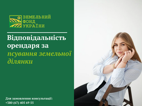 Професійне роз’яснення про відповідальність орендаря за псування земельної ділянки: види порушень, наслідки та порядок відшкодування збитків
