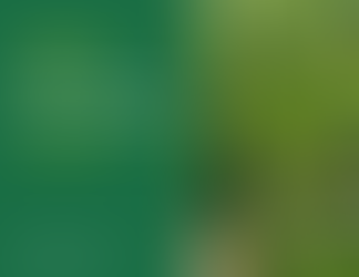 Роз’яснення, що таке земельний сервітут, у яких випадках він встановлюється, які бувають види сервітутів, порядок оформлення договору та підстави для звернення до суду