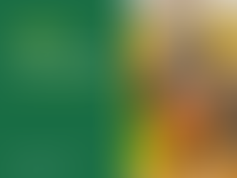 Кадастрова зйомка земельної ділянки з визначенням точних меж, координат поворотних точок та внесенням даних до Державного земельного кадастру