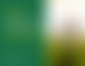 Битва за пай: чому передача земельної ділянки в оренду місцевому фермеру може бути вигіднішою, ніж агрохолдингу, навіть за нижчої орендної плати