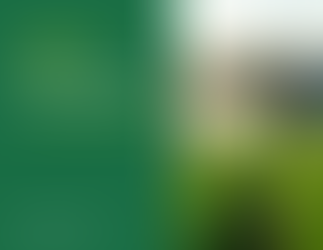 Добросусідство між власниками суміжних земельних ділянок, правила користування землею та вирішення земельних спорів