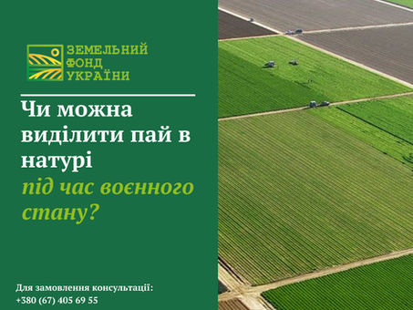 Виділення земельних паїв у натурі під час воєнного стану: правові обмеження та можливості для власників