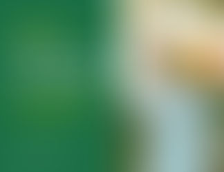 Правові засади договору оренди землі, ключові вимоги до укладення та особливості поновлення договору відповідно до законодавства України