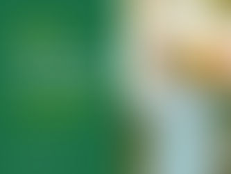 Правові засади договору оренди землі, ключові вимоги до укладення та особливості поновлення договору відповідно до законодавства України