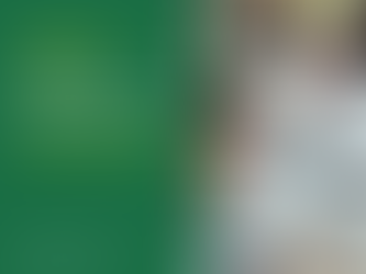 Правовий режим користування земельною ділянкою для ведення городництва та захист прав землекористувачів