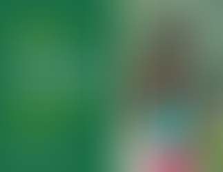 Як не сплачувати податок за земельну ділянку, яку неможливо обробляти через замінування або небезпеку бойових дій, правові підстави та порядок дій