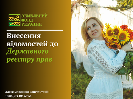 Що таке Державний реєстр речових прав на нерухоме майно, навіщо вносити відомості, хто може це зробити та які документи для цього потрібні