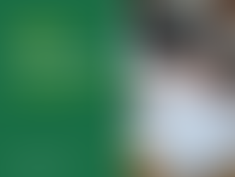 Як відмовитися від автоматичного продовження договору оренди землі: коли і куди подати заяву, щоб договір не поновився автоматично