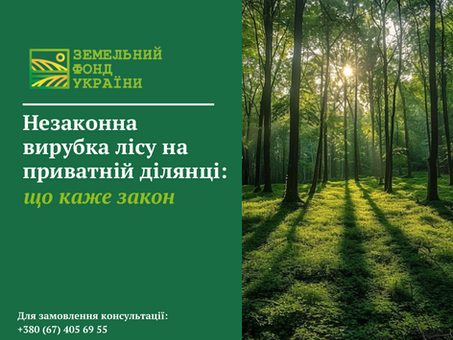 Роз’яснення, коли вирубка дерев на приватній ділянці вважається незаконною, які потрібні дозволи та яка передбачена відповідальність