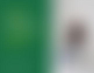 Земельні спори: причини виникнення конфліктів між власниками та користувачами земельних ділянок, типові ситуації порушення меж, прав користування та способи їх вирішення