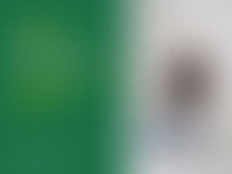 Земельні спори: причини виникнення конфліктів між власниками та користувачами земельних ділянок, типові ситуації порушення меж, прав користування та способи їх вирішення