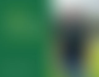 Ліси можуть опинятися у приватній власності через помилки під час формування земельних ділянок та внесення відомостей до Державного земельного кадастру