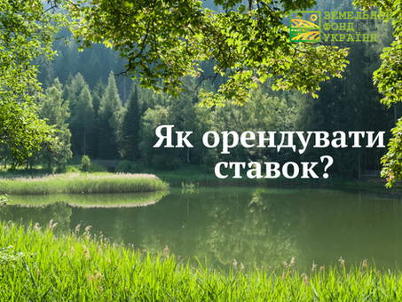 Як орендувати ставок?