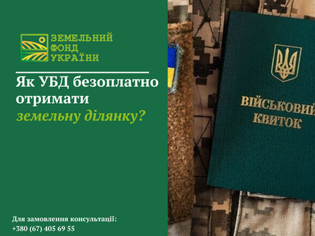 Як отримати земельну ділянку безкоштовно: умови, порядок оформлення та правові нюанси для громадян