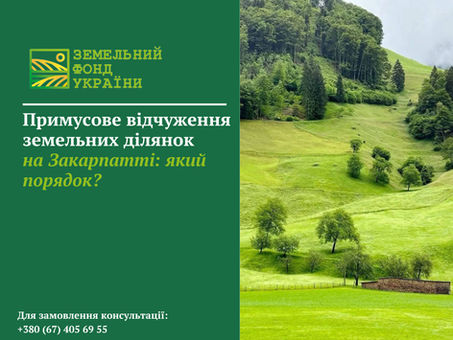 Примусове відчуження земельних ділянок на Закарпатті: підстави, порядок проведення процедури, права власників землі, особливості оцінки майна та виплати компенсації відповідно до законодавства України