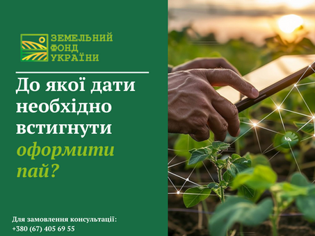 Важливі строки оформлення земельних паїв, які необхідно врахувати, щоб вчасно оформити документи та не втратити право на землю