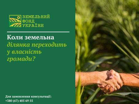 Земельна ділянка, що переходить у власність територіальної громади як відумерла спадщина після визнання цього факту судом та проведення відповідної процедури