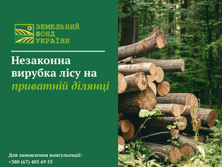 Незаконна вирубка лісу на приватній ділянці: відповідальність, штрафи та захист прав власників землі