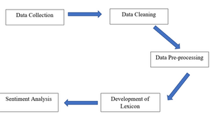 Sentiment Analysis of Customers Feedback on a Lexicon Home-Based Product | Research Paper Help