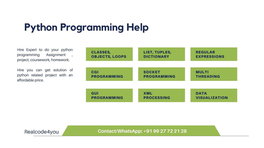 python assignment topics