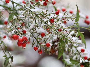 Winter 2026