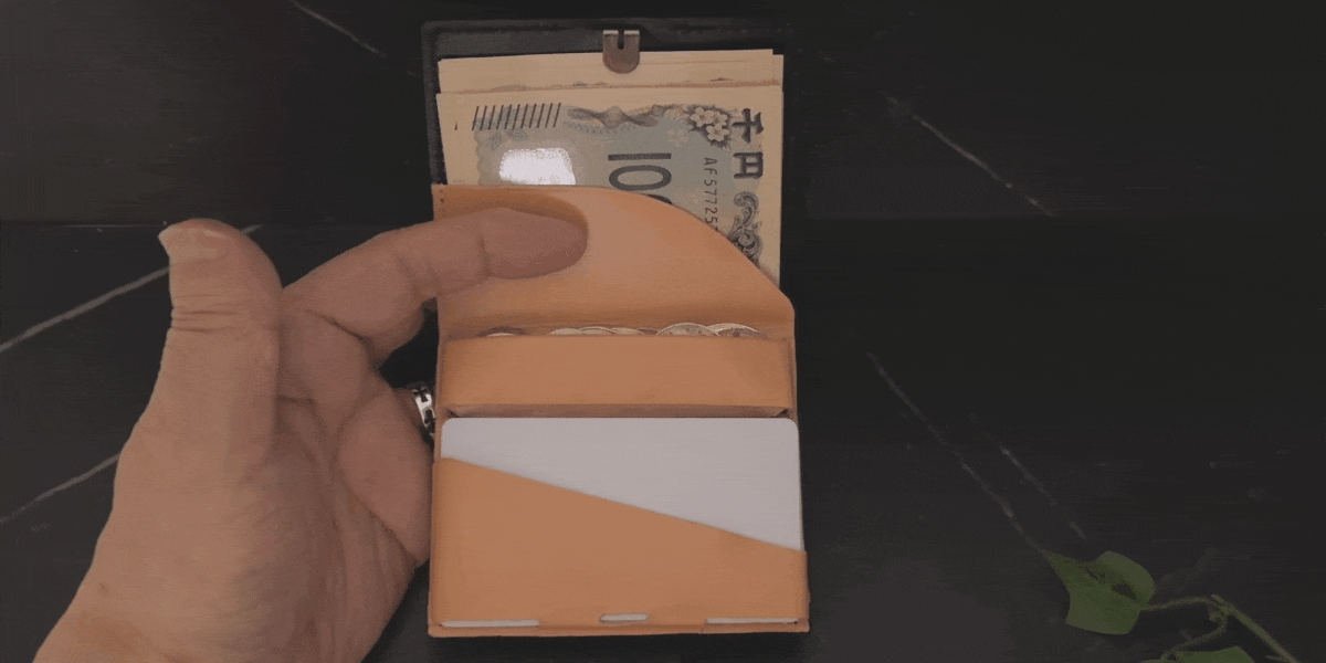 動作カードファン (1).gif