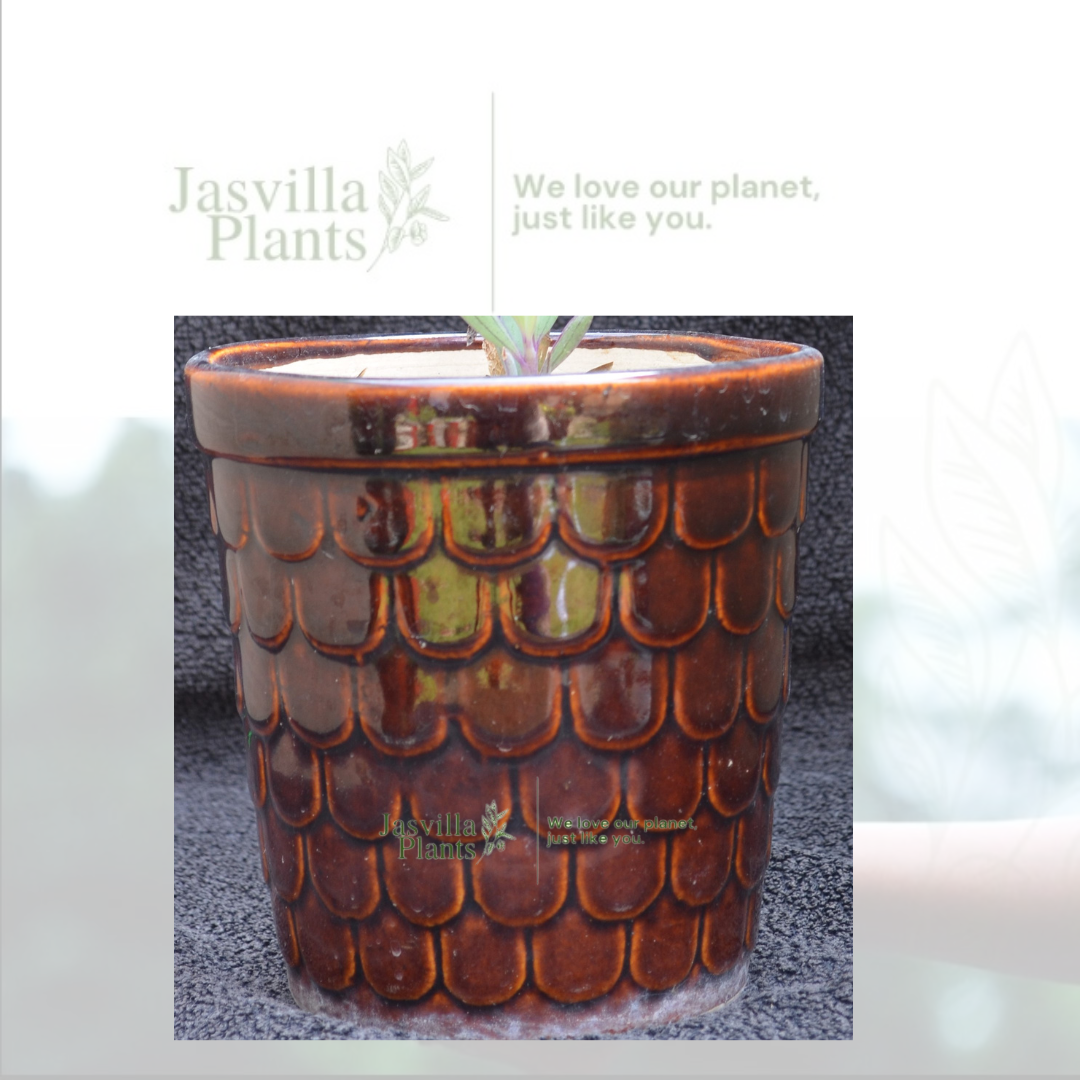 Glazed brown ceramic planter