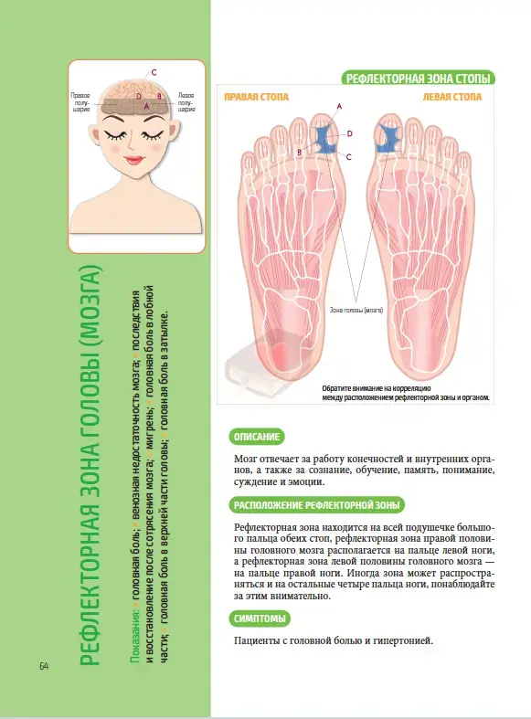 Минжэнь Чэнь. Китайский массаж стоп. 2025 - 336 с.